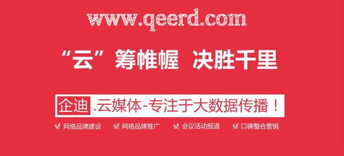 為何八成企業(yè)未選擇專業(yè)建站服務(wù)終陷困局？——軟件應(yīng)用服務(wù)背后的深度反思